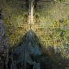 Dscn0912_thumb