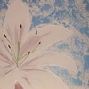 038_thumb