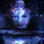 Sen_v_card