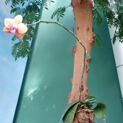 P1020759_card