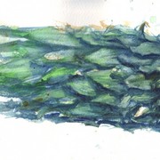 6_card