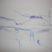 P1000477_card