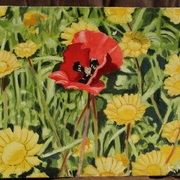 Img_3395_card