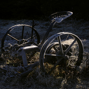 _dsc0554_card