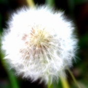 17237328_2__card