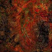 She-1_card