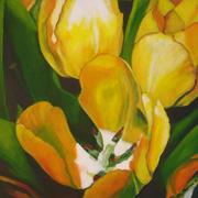 Tulips_2__40x40_card