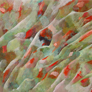 2007-10a_card