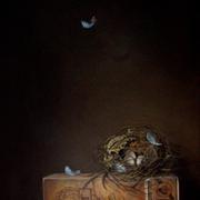 18x14_nest_-_final_-_startled__c__jeanne_illenye_card