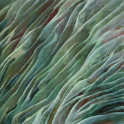 2007-11a_card