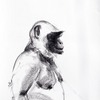 Drawing_thumb