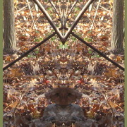 Img_7408_tiny_alien_card