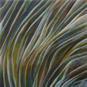 2008-01a_card