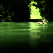 G-r-e-e-n-w-a-t-e-r-d-u-c-k-a18070613_1__card