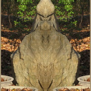 Img_7410_mr_rock_card