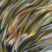 2008-02a_card