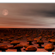 2100048_1__card
