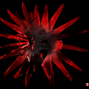 Cell_card