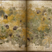 Autumn_journal_card
