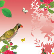B_card