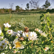 Img_3088_card