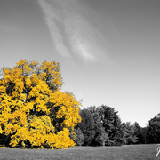 Img_3004_card
