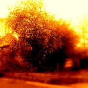 ______2879_card