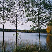 F1000013_card