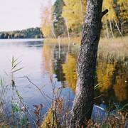 F1000007_card