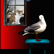 Catandbird_card