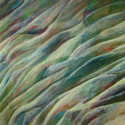 2010-01a_card
