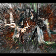 Tunguskaevent_card