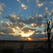 Dsc_3364_edited-1_card