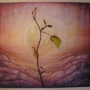 Morning_rose_card