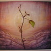 Morning_rose_thumb