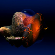 10305640_1__card