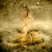 Ok_adka_hegemoon_card