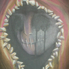 S4021804_thumb