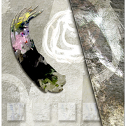 Kabuki_dance_card