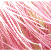13632501_1__card