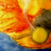 B_befruktning_card