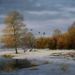 Eendenin_de_sneeuw