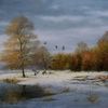 Eendenin_de_sneeuw