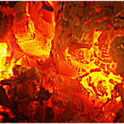 11087608_1__card