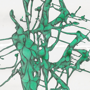 Green_blob_card