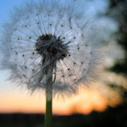 Img_3423_card