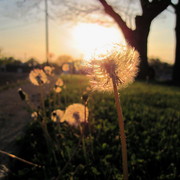 Img_3403_card