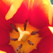 Img_3409_card