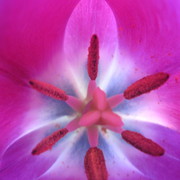 Img_3413_card