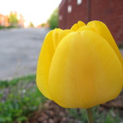 Img_3406_card